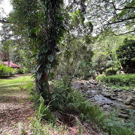Evasion Bungalow Tropical Spa Sarramea Luaran gambar